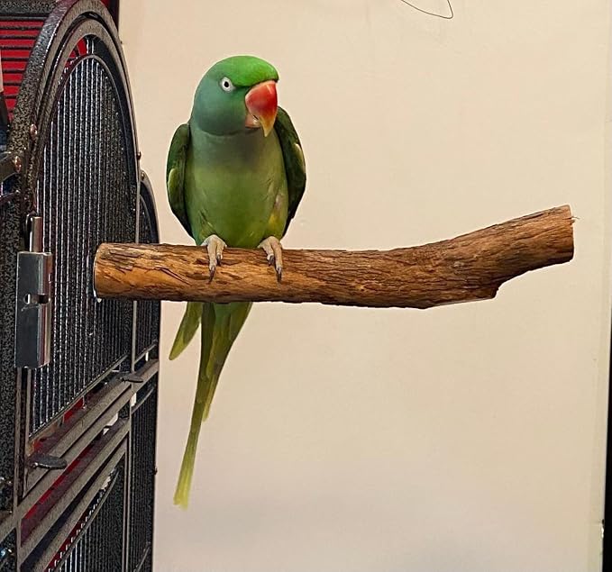 Polly's Hardwood Bird Perch - Image 2