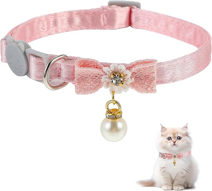 Cat Collar Breakaway, Cat Collar by Unknown
