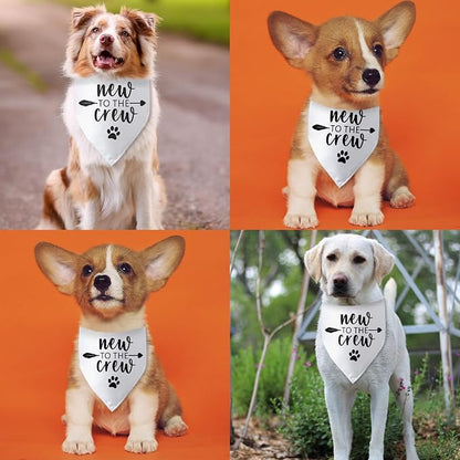 New to The Crew Dog Bandana New Puppy Announcement Gift - Image 4