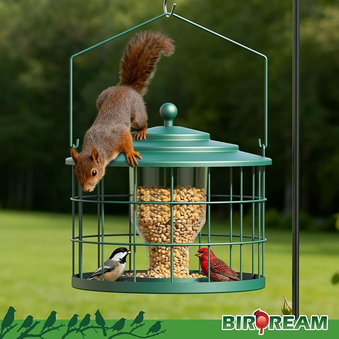 Squirrel Proof Bird Feeder, Metal Cage Bird Feeder - Image 6