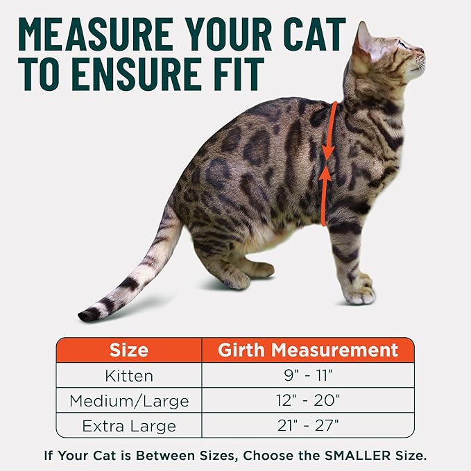 Houdini™ Escape Proof Kitten Harness and Leash Set by OutdoorBengal – Extra - Image 5