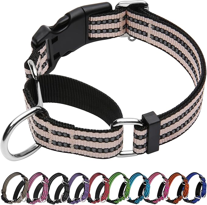 Martingale Dog Collar, Adjustable Nylon Reflective Collar by JOYEEIIOO