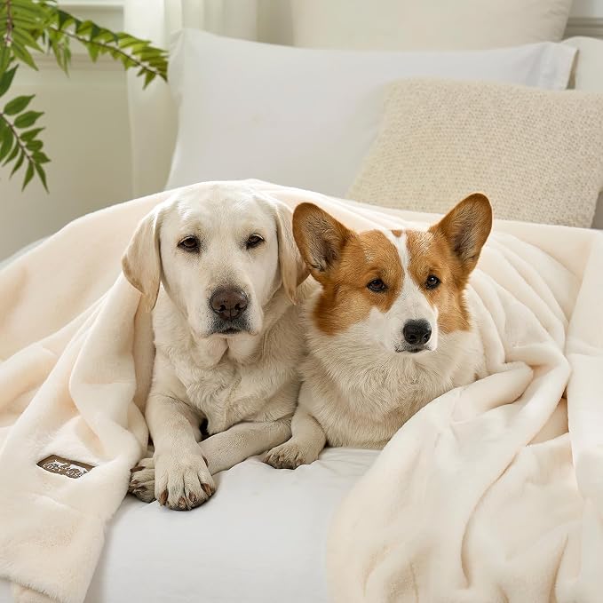 Luxury Faux Fur Throw Blanket Twin, Ultra Soft Waterproof Pet Blanket, Cozy - Image 8