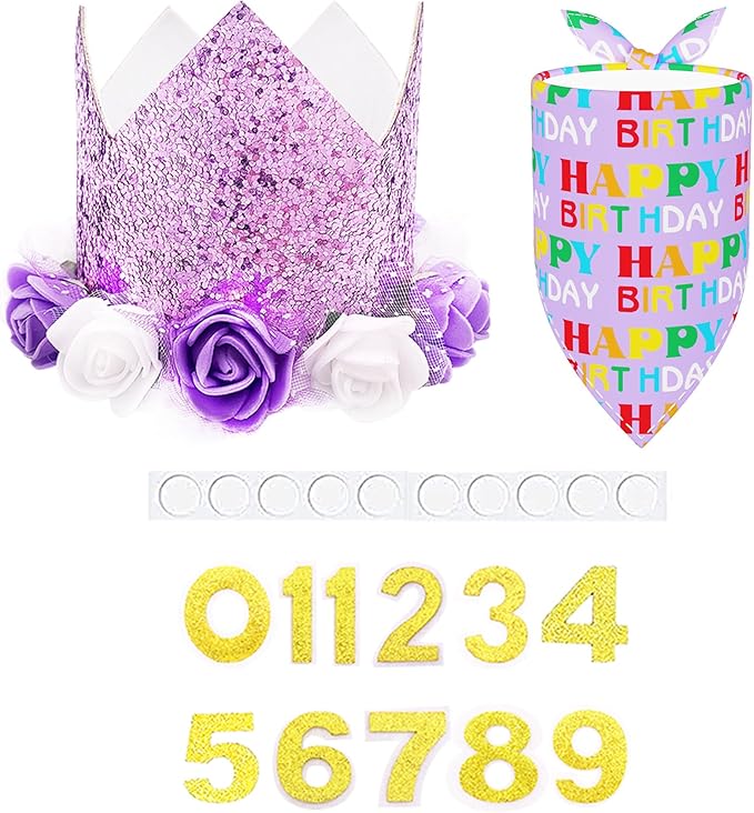 PET SHOW Purple Crown Dog Birthday Party Hat by PETSHOW