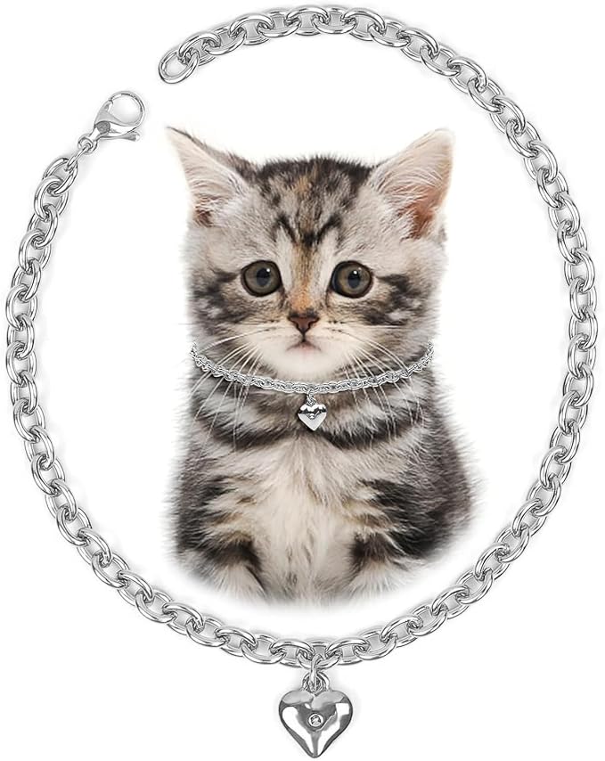 HOWWFALY Dog Collar and Cat Chain Necklace Stainless Steel Adjustable 18K by HOWWFALY