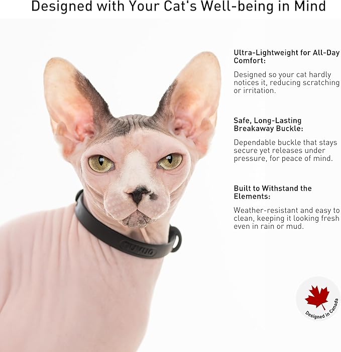 3 Pack Breakaway Cat Collar - Image 4