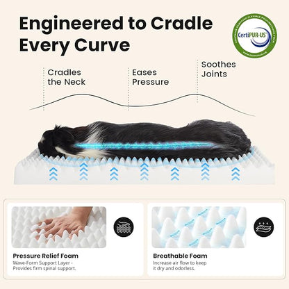OhGeni Orthopedic Waterproof Dog Bed - Image 5