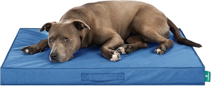 FurHaven Cooling Dog Bed – Large Foam Mattress by FurHaven
