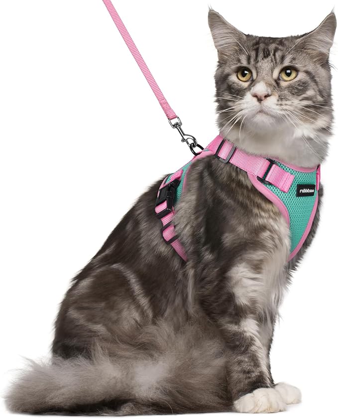 rabbitgoo Cat Harness and Leash Set, Escape Proof Soft Adjustable Vest Harnesses by rabbitgoo