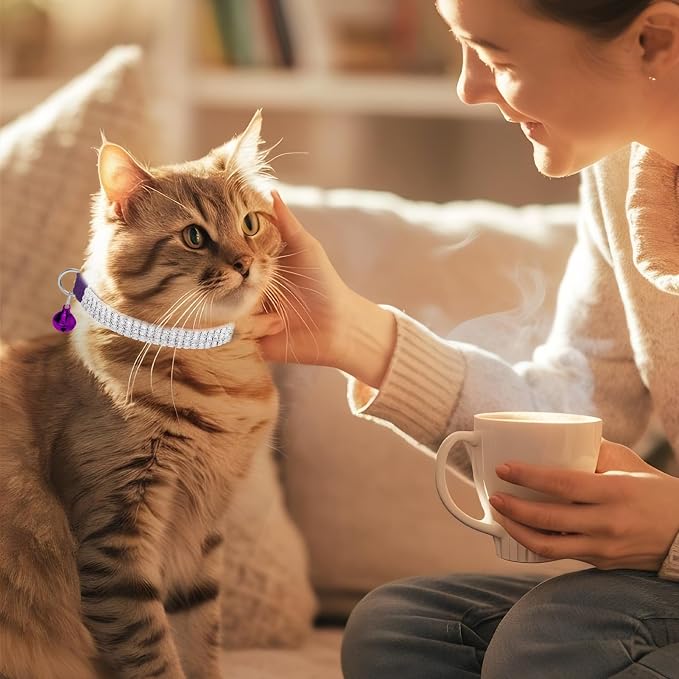 EXPAWLORER Soft Velvet Safe Cat Collars - Image 8