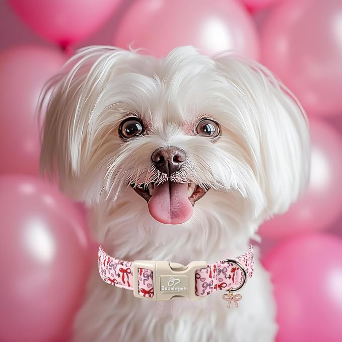 Girl Dog Collar for Medium Dogs - Image 7