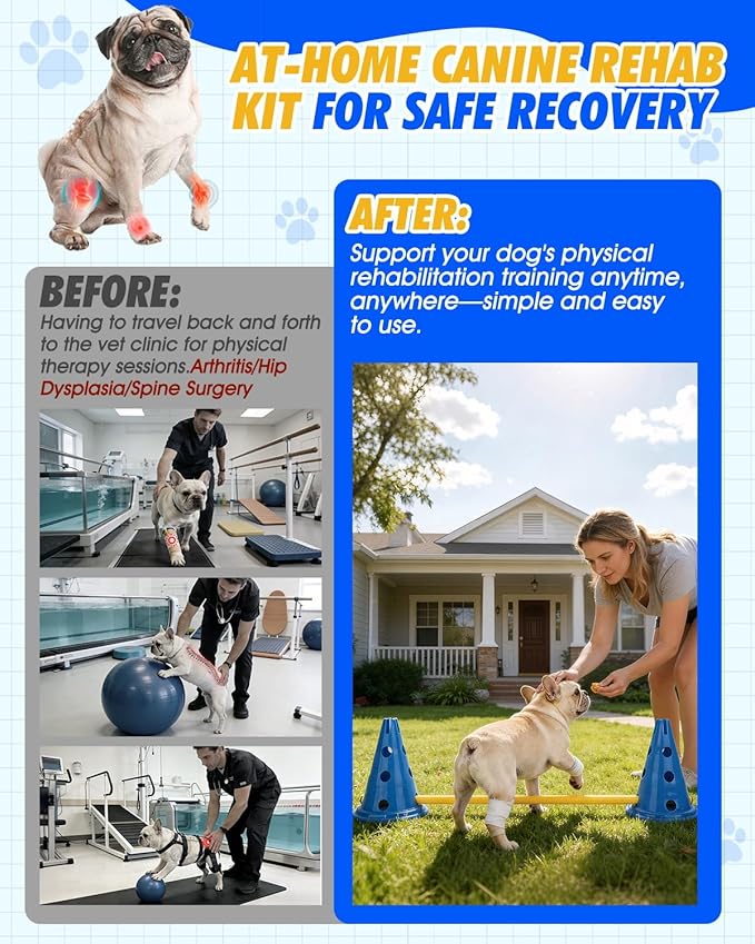 Dog Agility Hurdle Cone Set, Dog Agility Course Backyard Set - Image 3