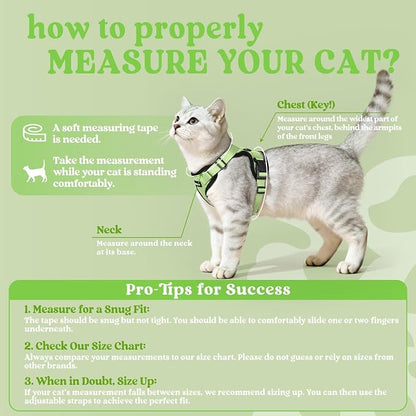 rabbitgoo Cat Harness and Leash - Image 2