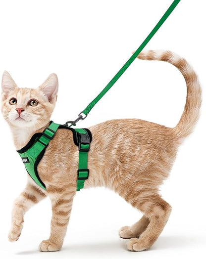 rabbitgoo Cat Harness and Leash by rabbitgoo