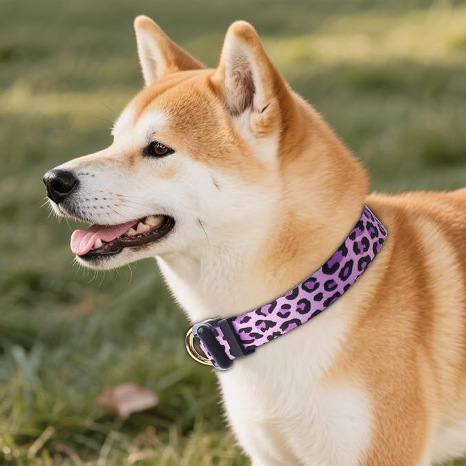 QQPETS Adjustable Soft Dog Collar: Print Flower Pink Multicolor Cute Patterns - Image 6