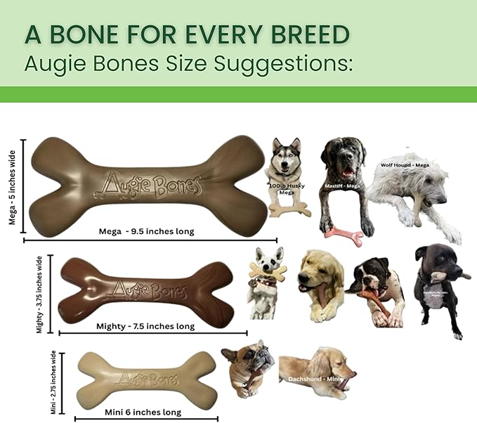 2-Pack Non-Toxic Dog Toys - Image 2
