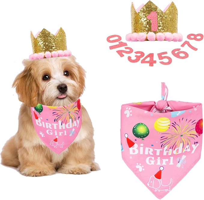 ADOGGYGO Dog Bandana Hat Set for Birthday Party Supply, Boy Girl Puppy Birthday by ADOGGYGO