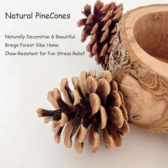 Bird Perch with Feeder for Cage & Chew Toys Pinecones - Image 3