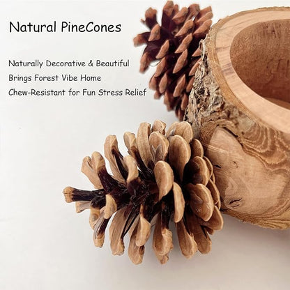 Bird Perch with Feeder for Cage & Chew Toys Pinecones - Image 3