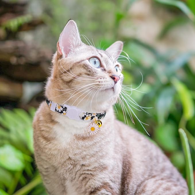 3 Pack Breakaway Cat Collars - Image 6