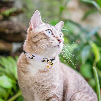 3 Pack Breakaway Cat Collars - Image 6