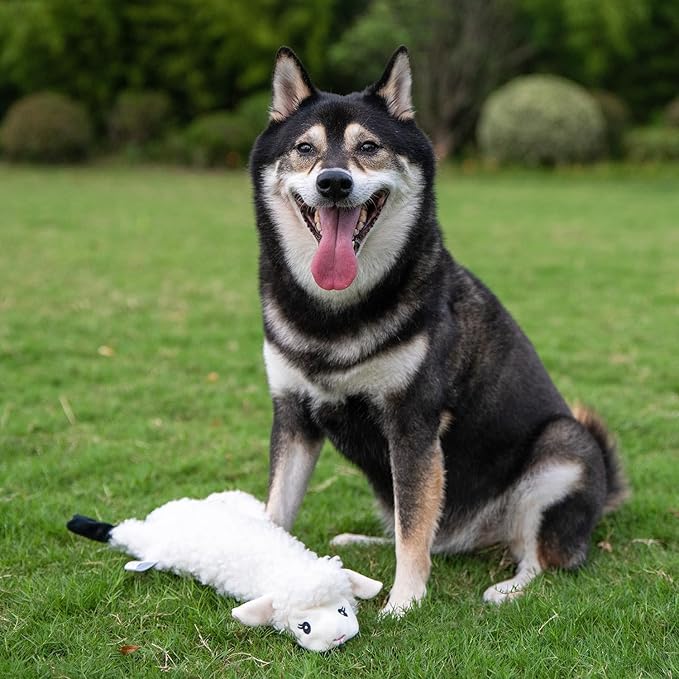 Best Pet Supplies Squeaky Dog Toys - Image 6