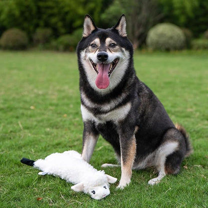 Best Pet Supplies Squeaky Dog Toys - Image 6