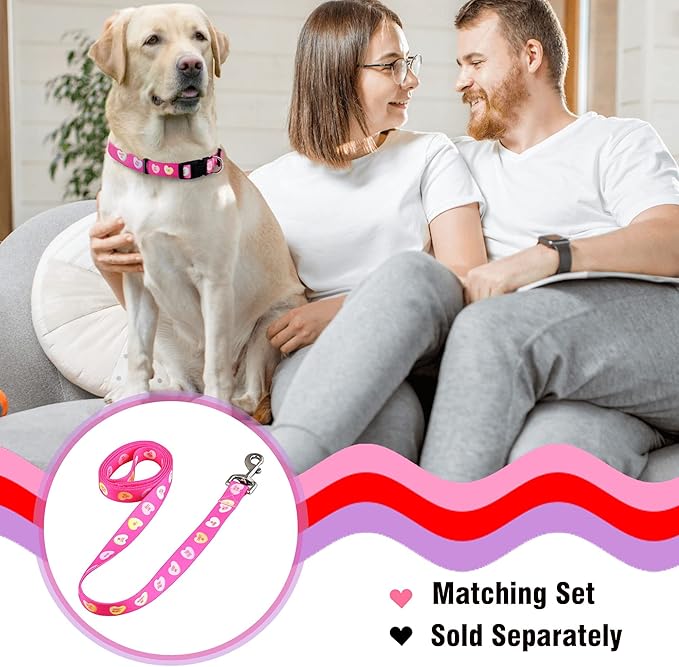 Native Pup Valentine’s Dog Collar- Valentines Day Pet Collars- Valentine Girly - Image 5