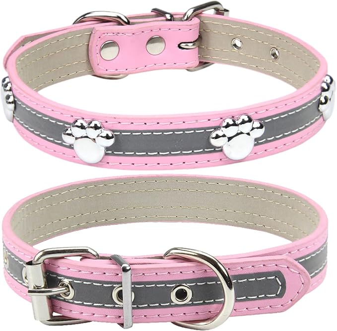 PETCARE Reflective Dog Collar by PETCARE