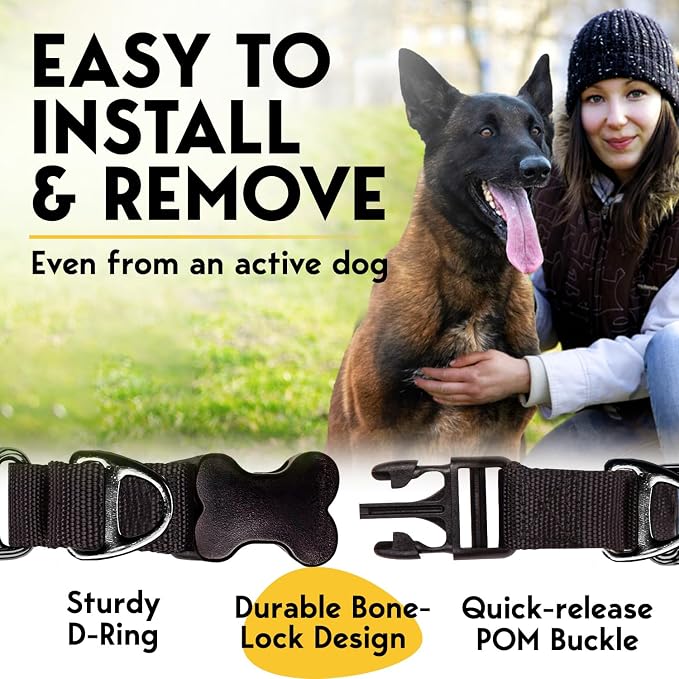 PetJett Prong Collar for Dogs - Image 5