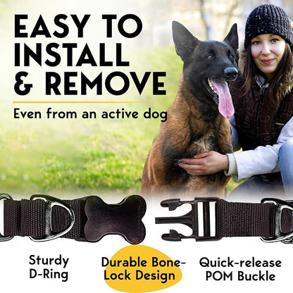 PetJett Prong Collar for Dogs - Image 5