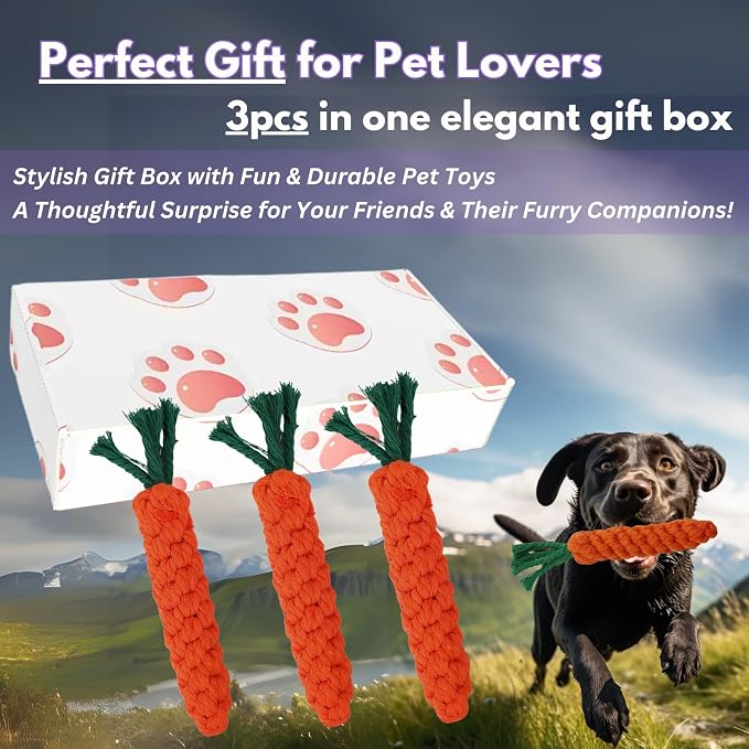3PCS Orange Woven Pet Chew Set, Puppy Teething Chews, Dog Chew Treats, Cat - Image 6