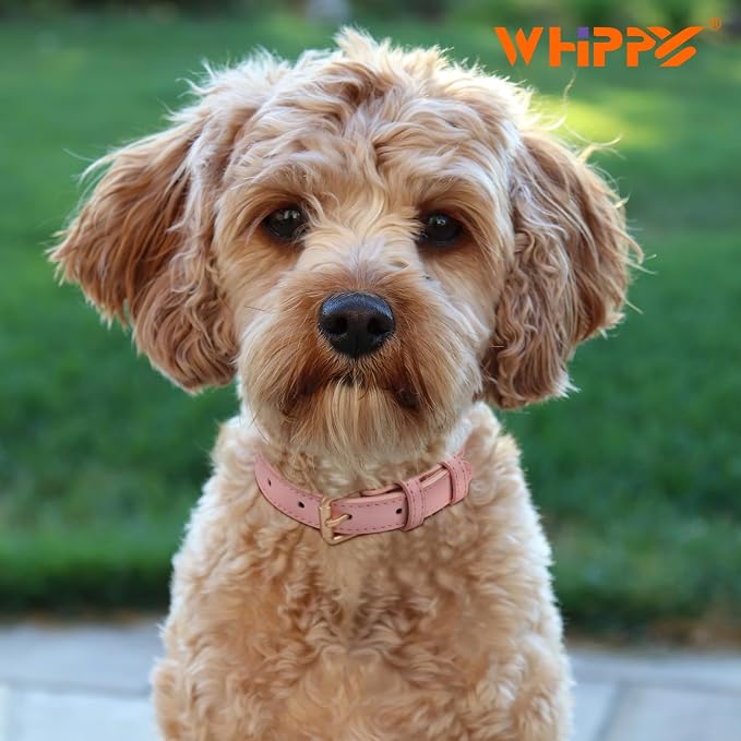 WHIPPY Leather Dog Collar for Small Medium Large Dog Adjustable Soft Breathable - Image 4