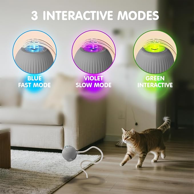 Rocfish Durable Interactive Cat Toys - Image 4