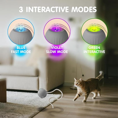 Rocfish Durable Interactive Cat Toys - Image 4