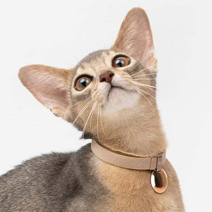 Safety Cat Collar - Image 7