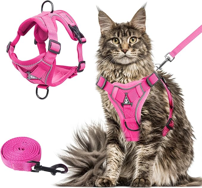 Wanheart Summer cat Chest Harness and Leash, Anti-Escape Adjustable Soft mesh by Unknown