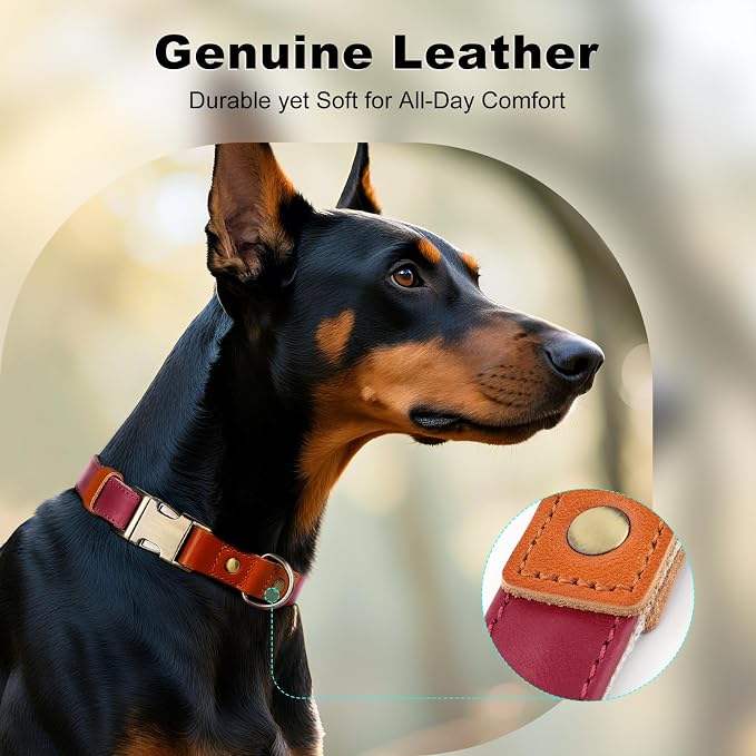 Plutus Pet Genuine Leather & Hemp Dog Collar – Adjustable Heavy Duty Pet Collar - Image 3