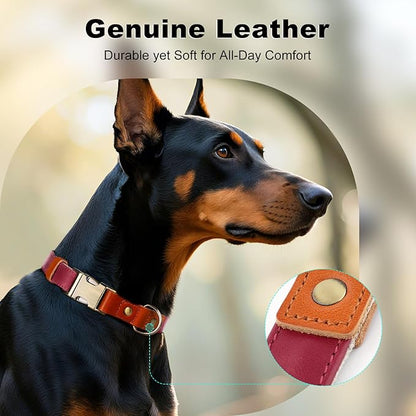 Plutus Pet Genuine Leather & Hemp Dog Collar – Adjustable Heavy Duty Pet Collar - Image 3