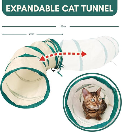 ALBERT & MIA CATGILITY Cat Agility Equipment + Clicker Trainer Guide – Exercise - Image 6