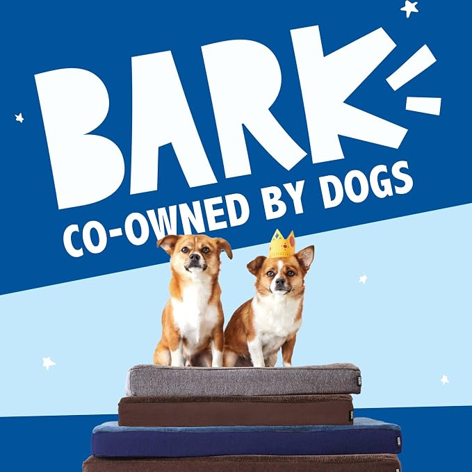 Barkbox Orthopedic Dog Bed | Comfortable Memory Foam Mattress - Image 6