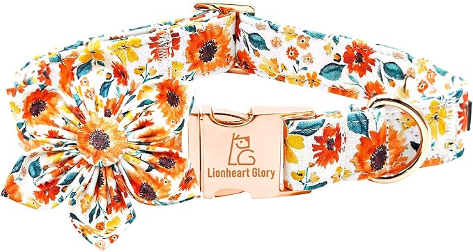 Lionheart Glory Floral Dog Collar by LionheartGlory