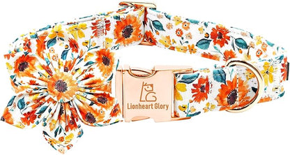 Lionheart Glory Floral Dog Collar by LionheartGlory