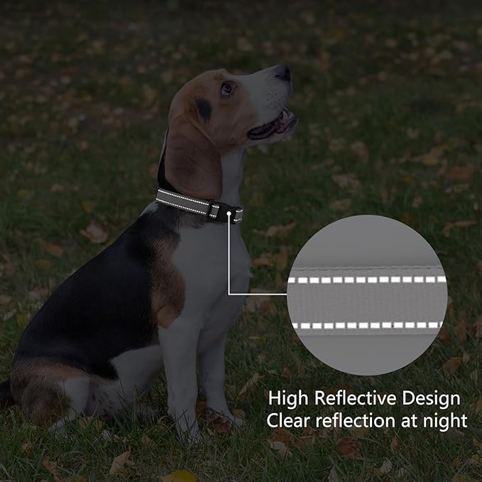 Reflective Dog Collar Padded - Image 5
