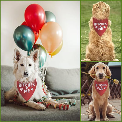 Funny Dog Birthday Bandana Boy Girl Pets Birthday Gift - Image 5