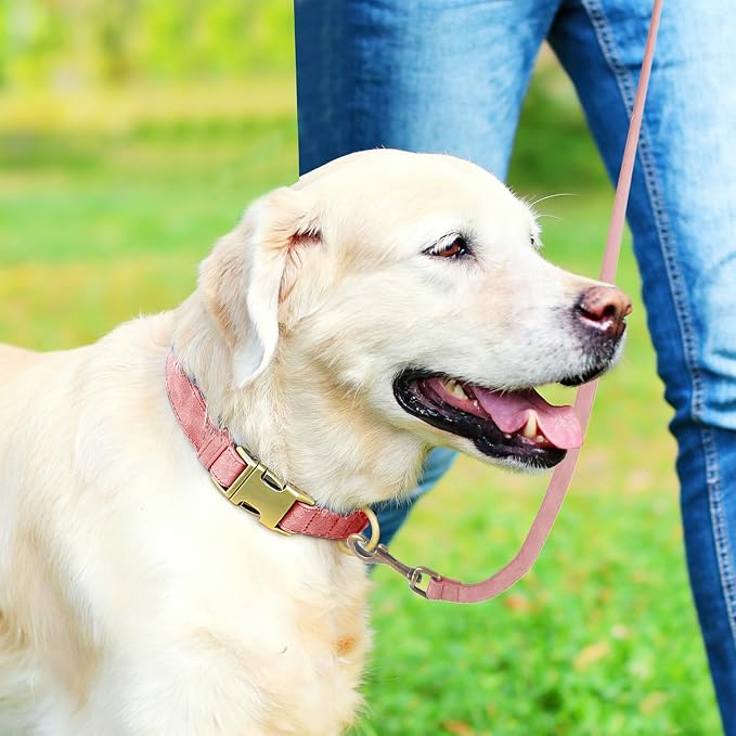 Genuine Leather Dog Collar - Image 3