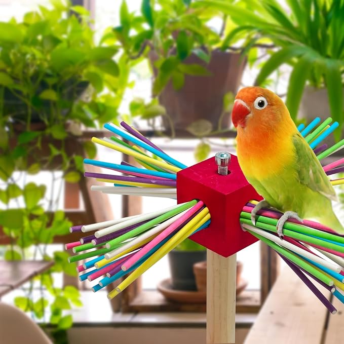 Bird Perch Toy for Cage, Spinning Windmill Bird Perch Toy, 360° Rotating - Image 7