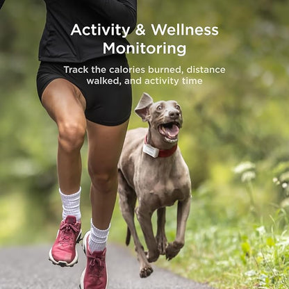 Petcube GPS Tracker for Dogs | Pet GPS Location Tracker - Image 6