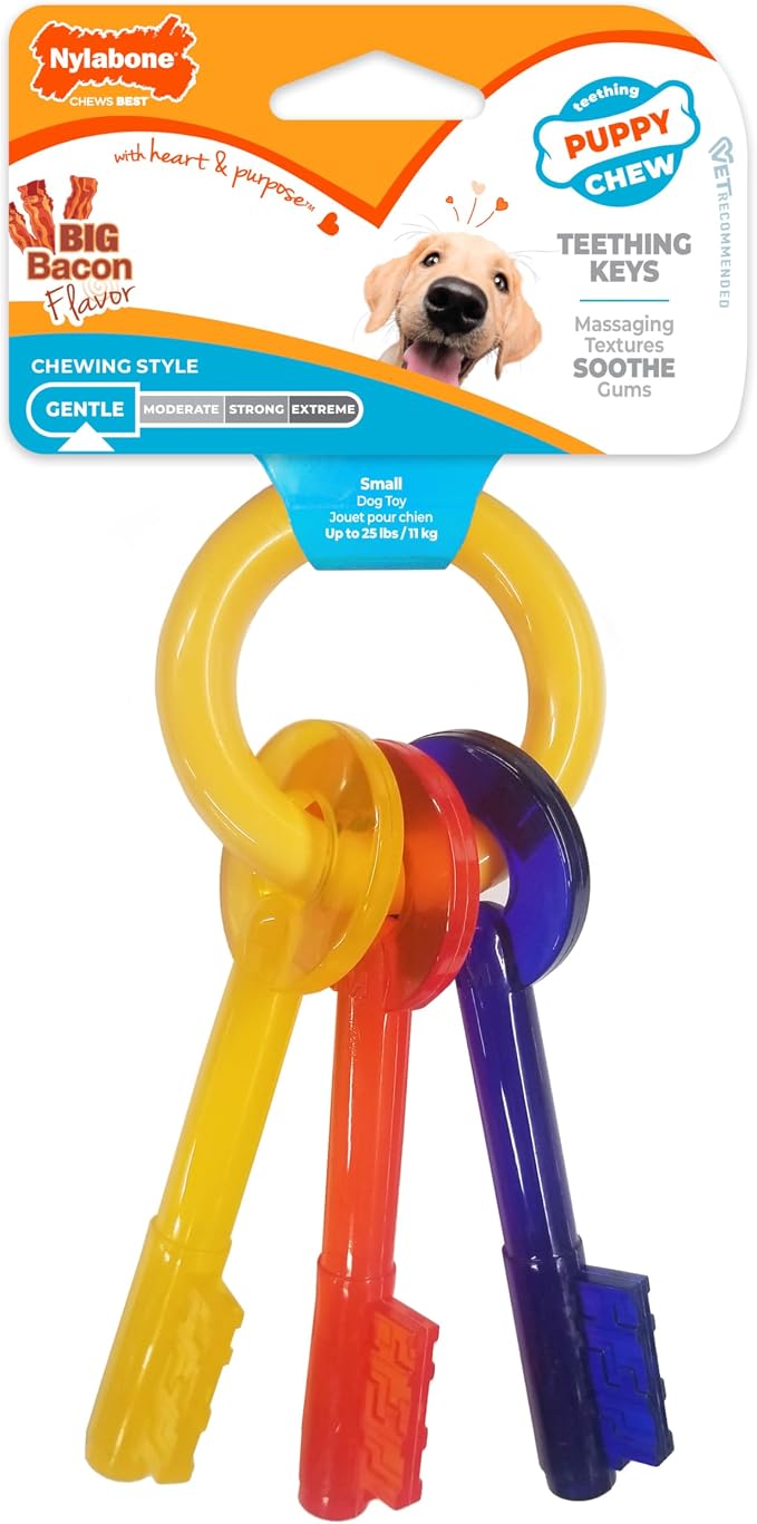 Nylabone Puppy Chew Key Ring Toy, Toys - Image 8