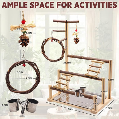 ‌Bird Playground, Natural Wooden Parrot Stand - Image 2